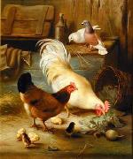 unknow artist Cocks 139 France oil painting artist